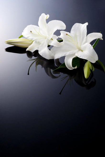 Hvordan skriver man en kondolencebesked